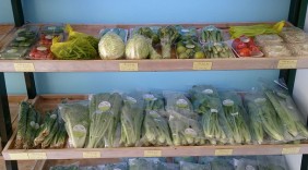 Mua Hàng Việt hợp tác với FAC Food phân phối rau sạch tại Bình Dương