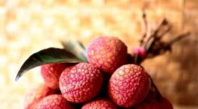 Thuốc từ quả vải