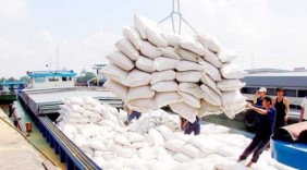 Giá gạo xuất khẩu cao nhất trong gần 3 năm qua