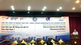 Quy hoạch lại sản xuất nâng cao giá trị tôm Việt Nam