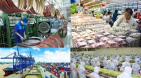 Doanh nghiệp Việt 