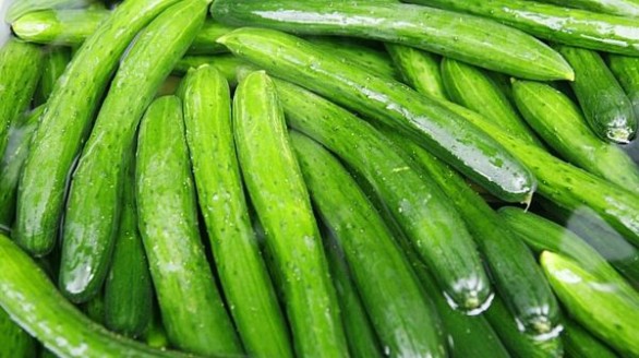 Tác dụng và tác hại của dưa chuột