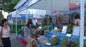Phiên chợ nông sản Khánh Hòa, kích cầu mua sắm hàng Việt