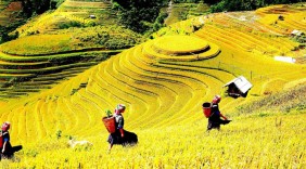 Tuần văn hóa du lịch Mù Cang Chải