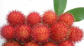 Chôm chôm: Tốt từ cùi đến hạt