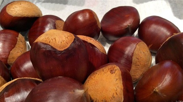 Bài thuốc chữa bệnh từ hạt dẻ