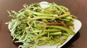 Rau rút trị bệnh mất ngủ