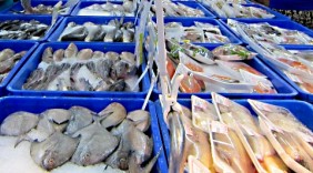 Triển lãm quốc tế chuyên ngành thủy sản tại Cần Thơ