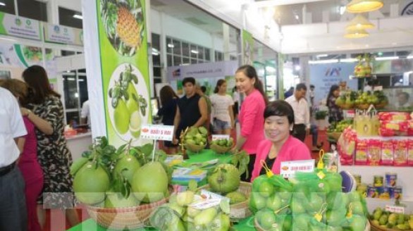 Phát triển thương mại khu vực phía Nam - bài 1: Hiệu quả từ cơ chế hợp tác liên vùng