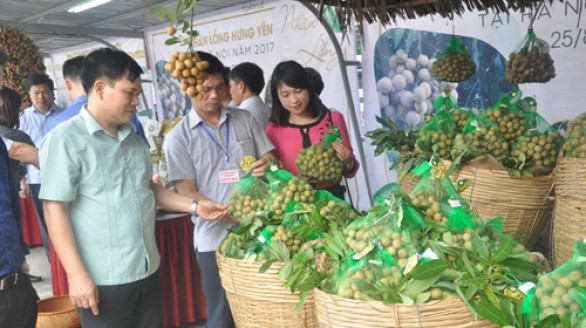 Giao thương tiêu thụ nông sản thực phẩm Hà Nội - Lâm Đồng: Tiếng nói người trong cuộc