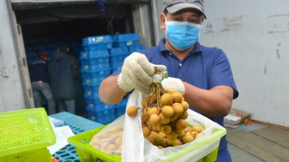 Nhãn tiến vua của Hưng Yên lần đầu đi Mỹ