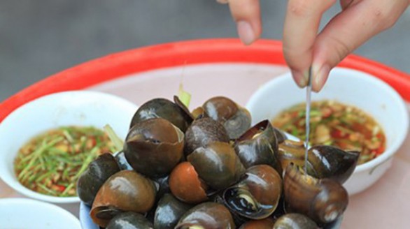 Món ăn bài thuốc chữa bệnh từ ốc