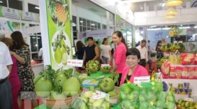 Phát triển thương mại khu vực phía Nam - bài 1: Hiệu quả từ cơ chế hợp tác liên vùng