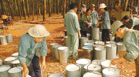 Tây Ninh xuất khẩu đạt trên 2,5 tỷ USD trong 8 tháng đầu năm 2017