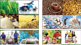 Mục tiêu xuất khẩu nông lâm thủy sản đạt 35 tỷ USD năm 2018