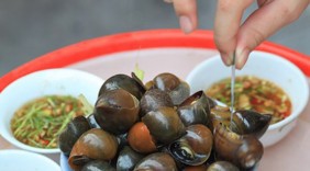 Món ăn bài thuốc chữa bệnh từ ốc