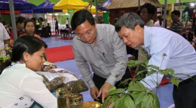 Kỳ vọng sâm Việt vươn ra thế giới