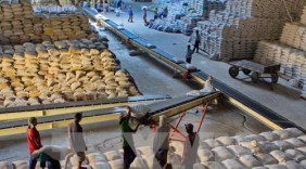 Thêm một cơ hội cho gạo xuất khẩu của Việt Nam