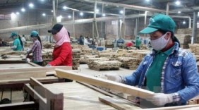 Xuất khẩu gỗ tăng cao nhờ mặt hàng mới và thị trường mới