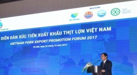 Thịt lợn sạch của Việt Nam có cơ hội xuất khẩu sang Nhật, Hàn Quốc