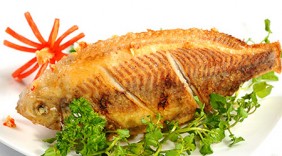 Bài thuốc chữa bệnh hiệu quả từ cá diêu hồng