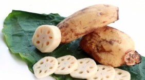Ngó sen và những công dụng tuyệt vời đối với sức khỏe