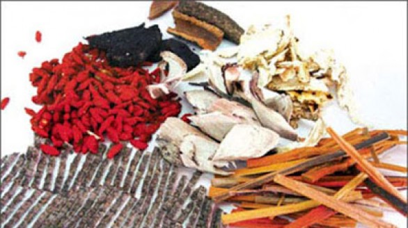7 bài thuốc đông y giúp giảm mỡ thừa hiệu quả