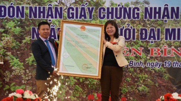 Yên Bái lần đầu tiên tổ chức lễ hội bưởi Đại Minh