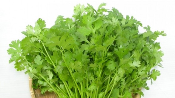 Chữa bệnh thủy đậu với rau mùi