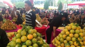 Sắp diễn ra Lễ hội Cam Cao Phong lần thứ III