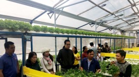 MM Mega Market dự kiến cung cấp 24.000 tấn rau củ mỗi năm