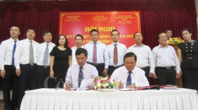 Bình Thuận giới thiệu thanh long với các doanh nhân ngay tại vườn