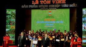 28/11/2017: Diễn ra Lễ 