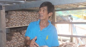 Tỷ phú nhờ trồng nấm bào ngư