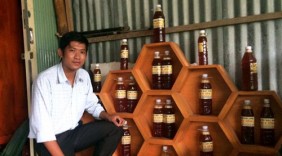 Mỗi tháng “ẵm” 1.000 USD với ý tưởng nuôi ong làm nên mật ngọt Hương tràm