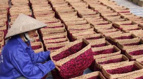 Hàng Việt được ưa chuộng tại thị trường Hàn Quốc