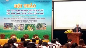 Thị trường Ấn Độ giàu tiềm năng cho ĐBSCL tiêu thụ nông sản