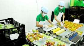 Bắt tay để phát triển hàng Việt