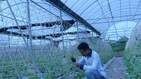 Khởi nghiệp từ nông nghiệp tại quê nhà, ấp ủ ước mơ làm giàu