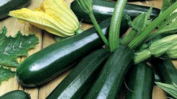 Bí ngòi - Kho dinh dưỡng thiên nhiên