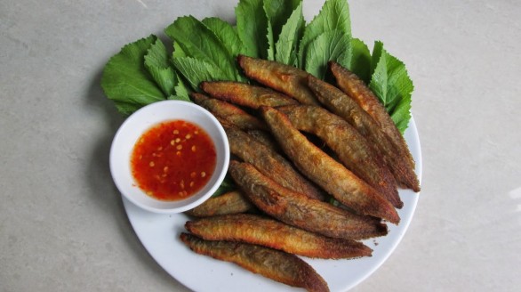 Chữa bệnh bằng cá chạch