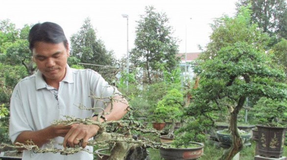 Bỏ túi 200 triệu đồng/năm từ trồng cây cảnh