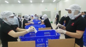 Lô vú sữa Việt Nam đầu tiên xuất khẩu sang Hoa Kỳ sắp 'cất cánh'