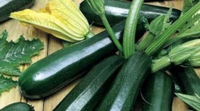 Bí ngòi - Kho dinh dưỡng thiên nhiên