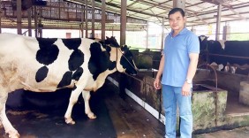 Mạnh dạn ứng dụng khoa học kỹ thuật vào chăn nuôi