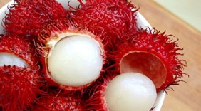 New Zealand mở cửa thị trường cho chôm chôm của Việt Nam