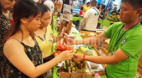 Sẽ có 450 gian hàng tham gia Hội chợ Hàng Việt - nông sản 2017 tại Đà Nẵng