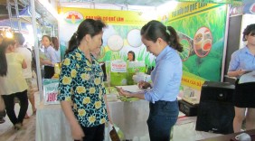 Gạo hữu cơ Quế Lâm: Tiên phong với mục tiêu “gạo sạch”