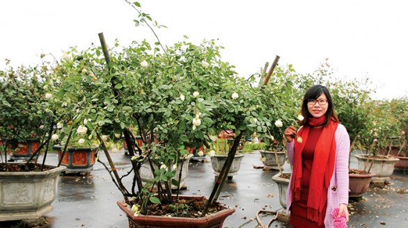 9X khởi nghiệp với... hoa