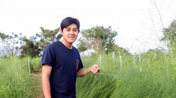 Tốt nghiệp Đại học loại giỏi, trai đẹp về quê trồng măng tây